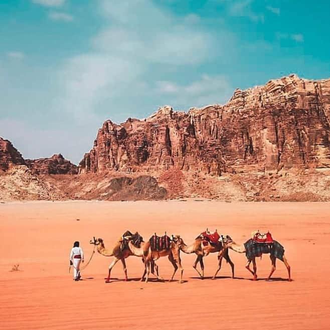 Wadi Rum Oryx Land Bagian luar foto