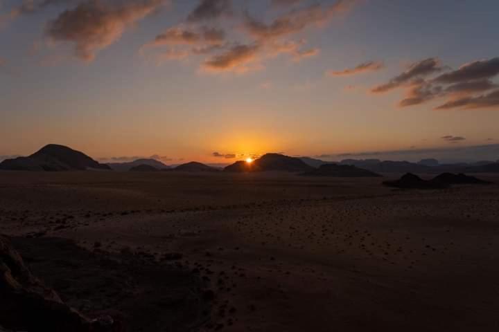 Wadi Rum Oryx Land Bagian luar foto